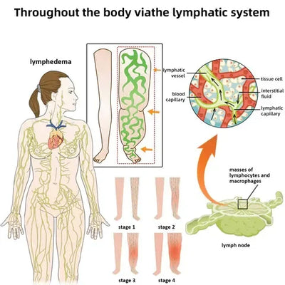 Bee Venom Lymphatic Drainage & Slimming Foot Patches